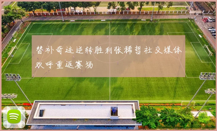 替补奇迹逆转胜利张稀哲社交媒体欢呼重返赛场